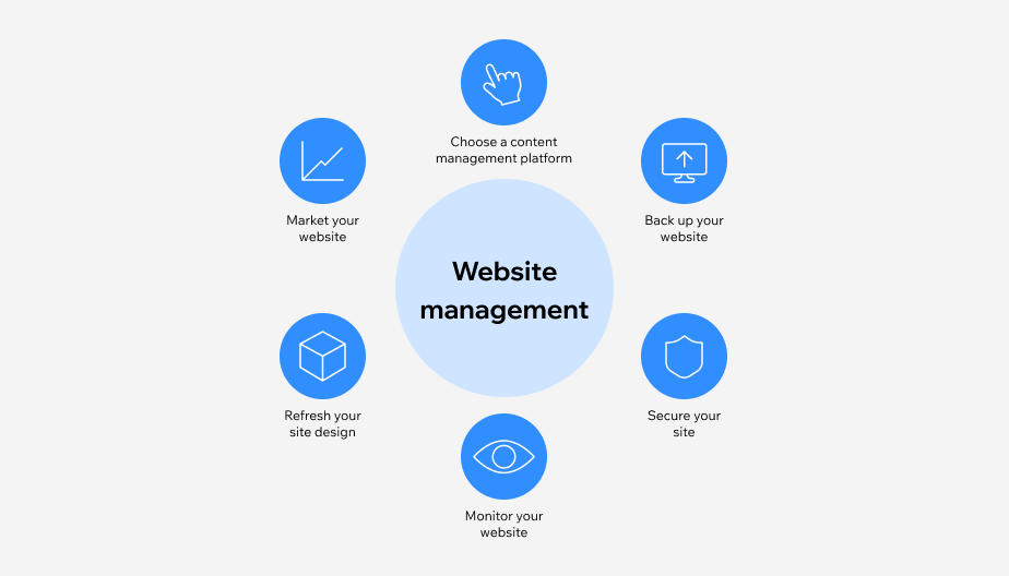 website-management